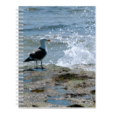 Splish Splash Seagull Notebook