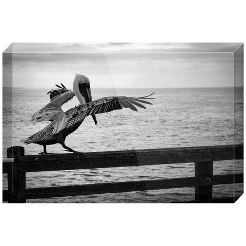 Pelican on a Pier Acrylic Block Prints