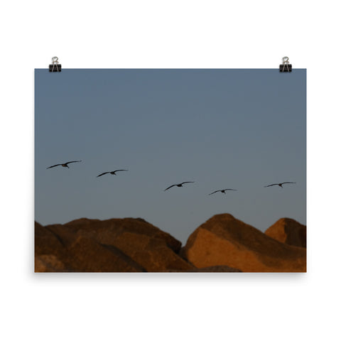 Flock of (Sunset) Seagulls Poster