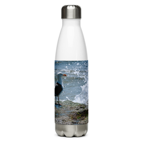 Splish Splash Seagull Stainless Steel Water Bottle