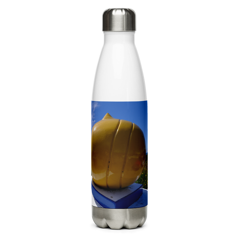 Swami's Stainless Steel Water Bottle